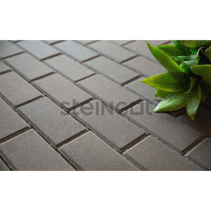 Плитка тротуарная Steingot Моно, Прямоугольник, с фаской 5x5, серый, 200x100x60 мм